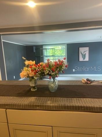 A kitchen counter with two flower vases overlooks a living room with dark walls — 7890 MARX DRIVE, NORTH FORT MYERS, FL