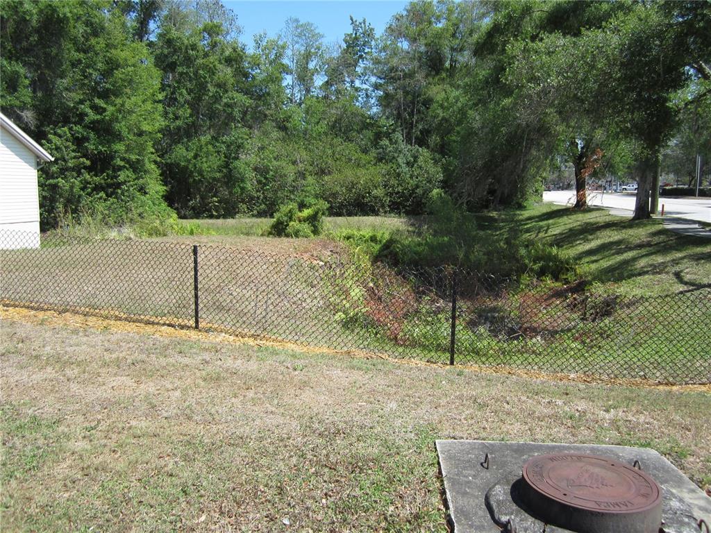 209 CRYSTAL GROVE BOULEVARD, LUTZ, FL — photo 2 of 10