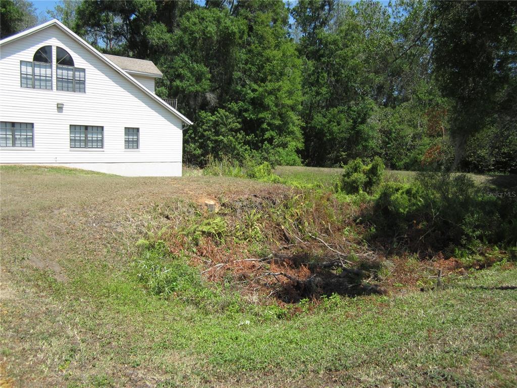 209 CRYSTAL GROVE BOULEVARD, LUTZ, FL — photo 3 of 10
