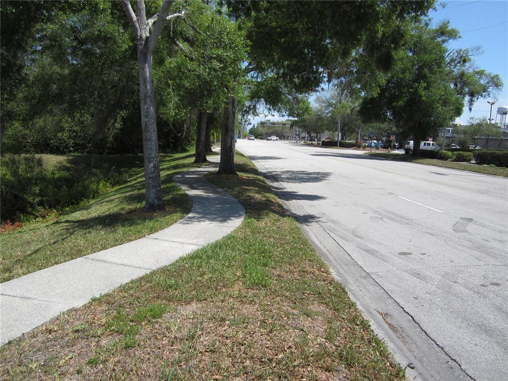 209 CRYSTAL GROVE BOULEVARD, LUTZ, FL — photo 4 of 10