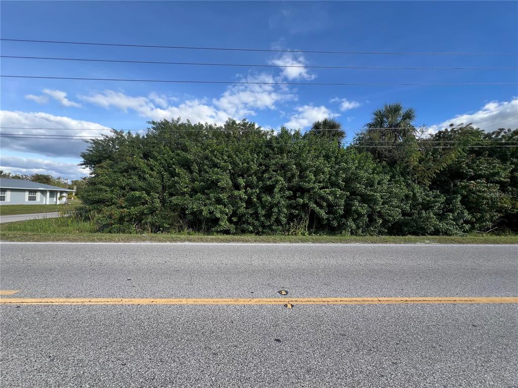 A paved road runs in front of a dense, overgrown lot with trees and shrubs — 2620 COOPER STREET, PUNTA GORDA, FL