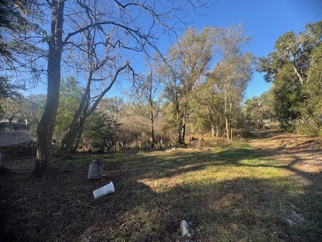 12512 CR 685, WEBSTER, FL — photo 5 of 20