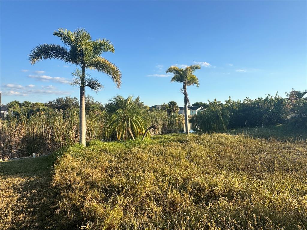 A grassy lot features two tall palm trees and dense vegetation near a small pond — 9378 MELODY CIRCLE, PORT CHARLOTTE, FL