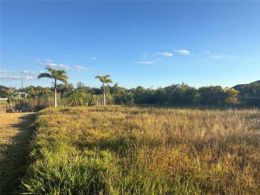 A vacant, grassy lot features several palm trees and dense vegetation under a clear sky — 9378 MELODY CIRCLE, PORT CHARLOTTE, FL