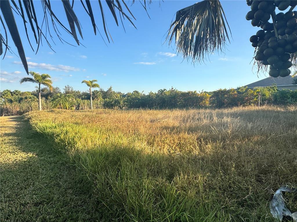 A grassy, undeveloped lot features several palm trees under a clear blue sky — 9378 MELODY CIRCLE, PORT CHARLOTTE, FL
