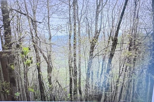 A view of a distant mountain range through a dense forest of bare trees — Great Sky Dr, NC, NC