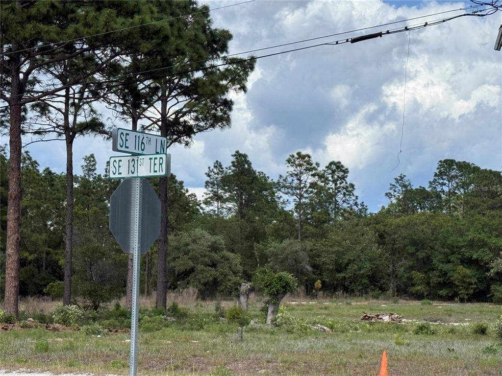 A street sign at an intersection stands in front of a wooded, undeveloped lot — 00 SE 116TH LANE, DUNNELLON, FL