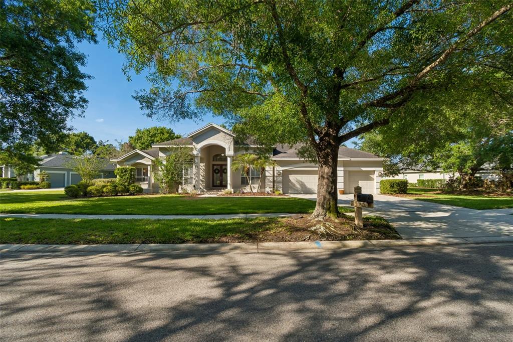 A single-story suburban house with a three-car garage and a large tree in front — 19108 CENTRE ROSE BOULEVARD, LUTZ, FL