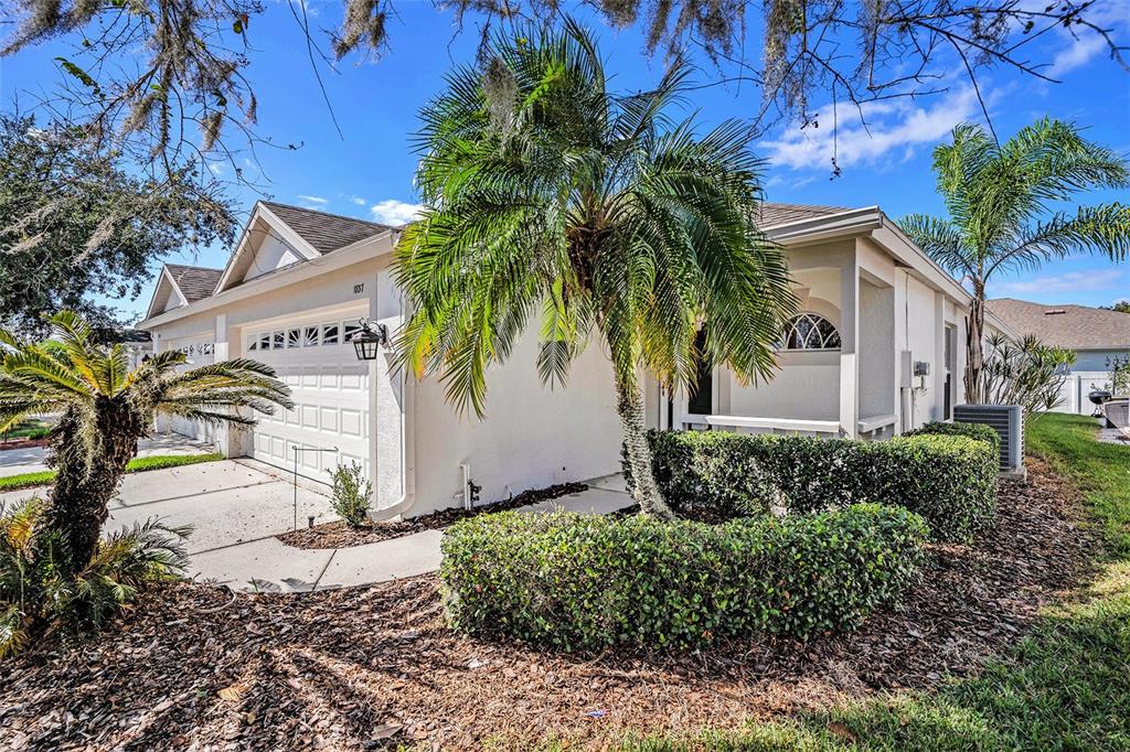 A single-story house exterior features a white stucco facade, a two-car garage, and palm trees — 1837 RAVENRIDGE STREET, WESLEY CHAPEL, FL