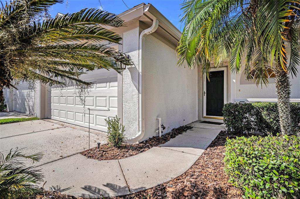 A white house exterior features a garage, a black front door, and palm trees — 1837 RAVENRIDGE STREET, WESLEY CHAPEL, FL