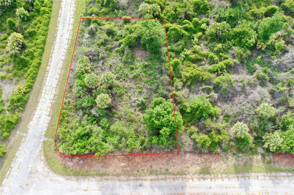 An aerial view shows a vacant, rectangular lot covered in vegetation next to a road — HEARST STREET, NORTH PORT, FL