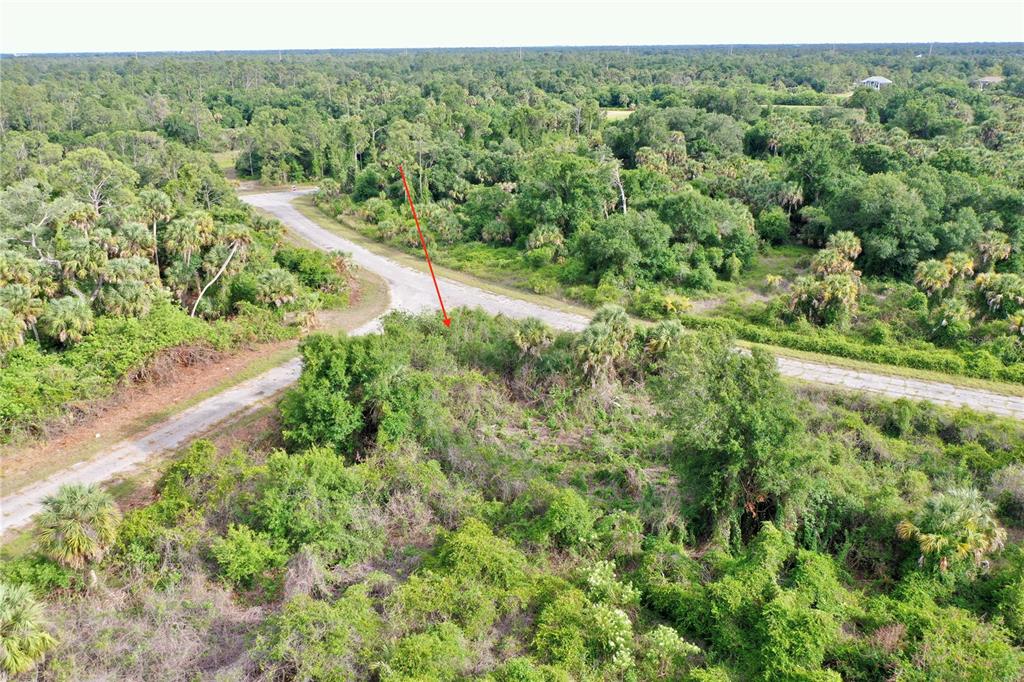 An aerial view shows a paved road intersecting through a dense, wooded, undeveloped lot — HEARST STREET, NORTH PORT, FL