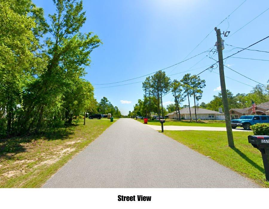A paved residential street lined with trees, grass, and houses under a blue sky — 1567 E CLEVELAND STREET, HERNANDO, FL