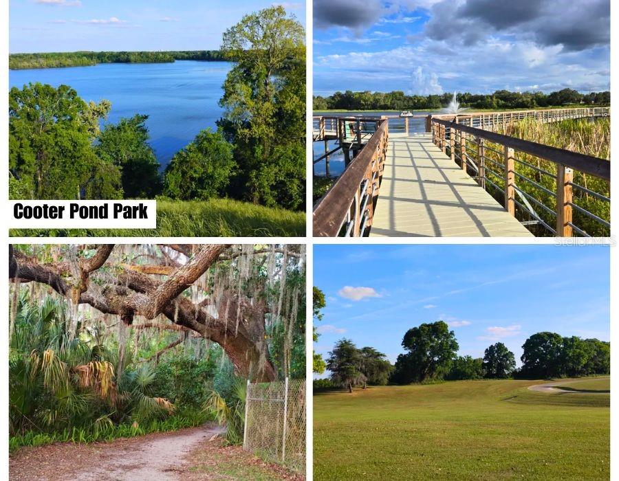 This collage shows four views of Cooter Pond Park, including a lake, boardwalk, and trees — 1567 E CLEVELAND STREET, HERNANDO, FL