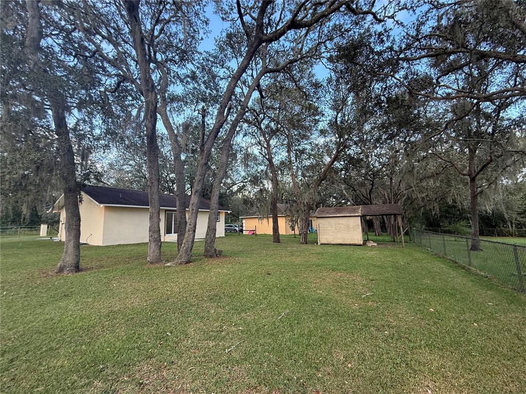 A backyard view shows a house, a small shed, and several large trees — 40233 PALM STREET, LADY LAKE, FL