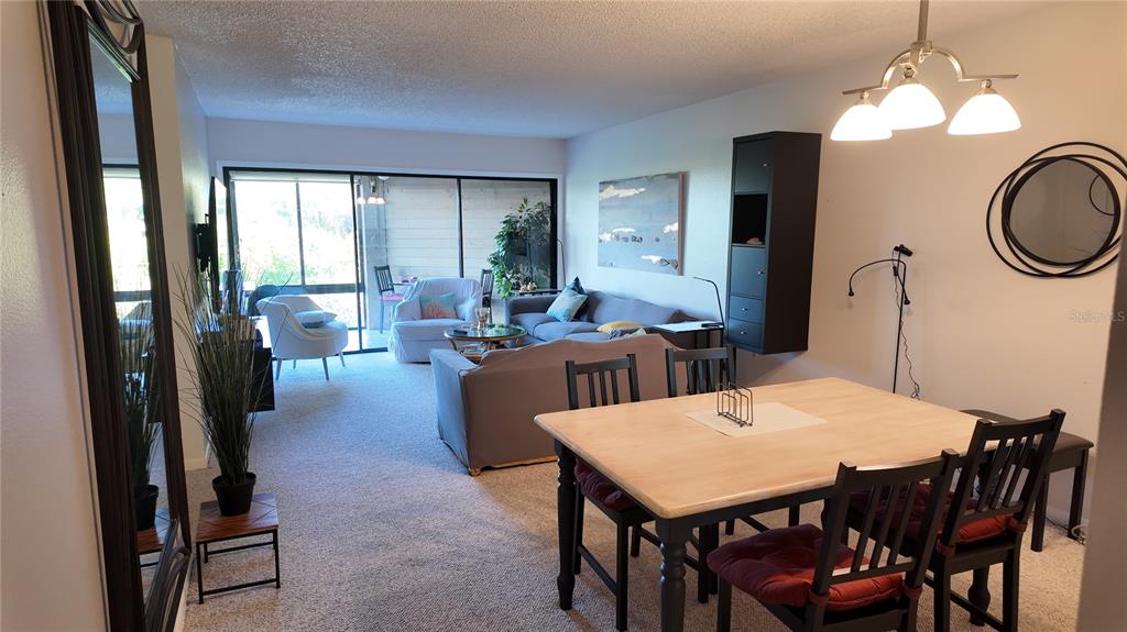 A living and dining area features carpeted floors, a sliding glass door, and neutral walls — 1500 SUNSET RD BLDG C UNIT C7, TARPON SPRINGS, FL