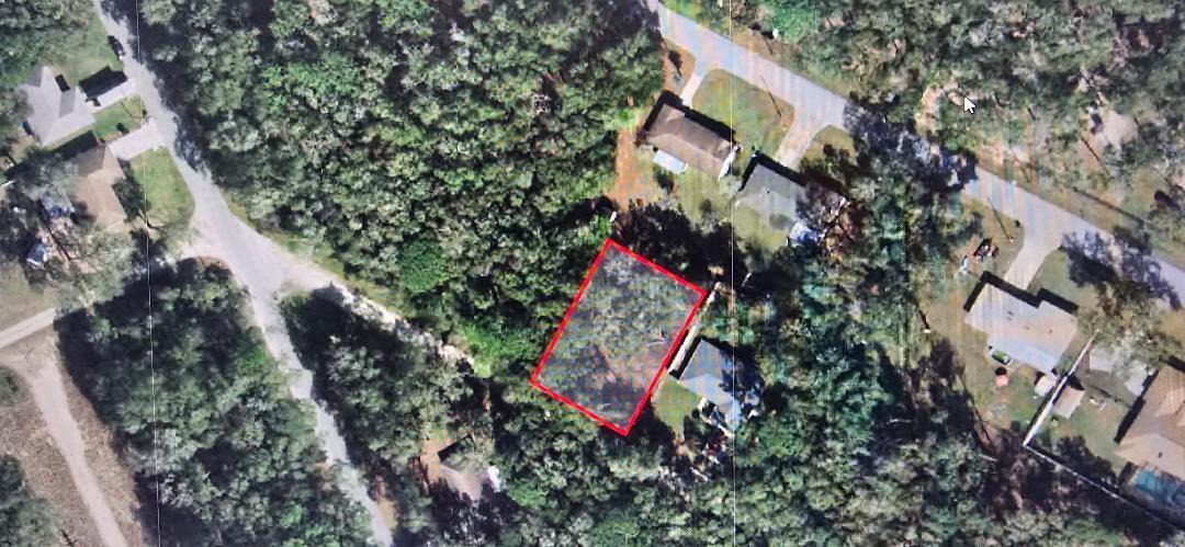 An aerial view shows a rectangular, wooded vacant lot outlined in red within a neighborhood — 3397 E Alex Place, Inverness FL 34453, INVERNESS, FL
