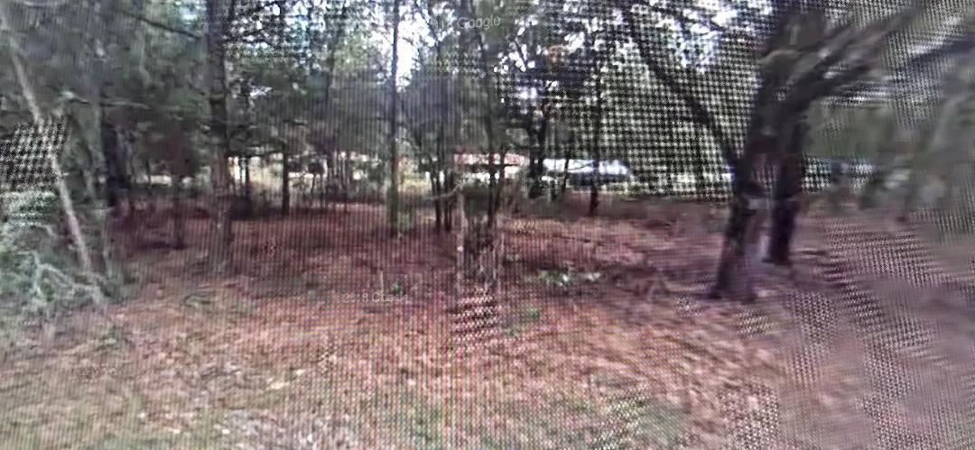 A wooded lot with scattered trees and a glimpse of a structure in the background — 3397 E Alex Place, Inverness FL 34453, INVERNESS, FL