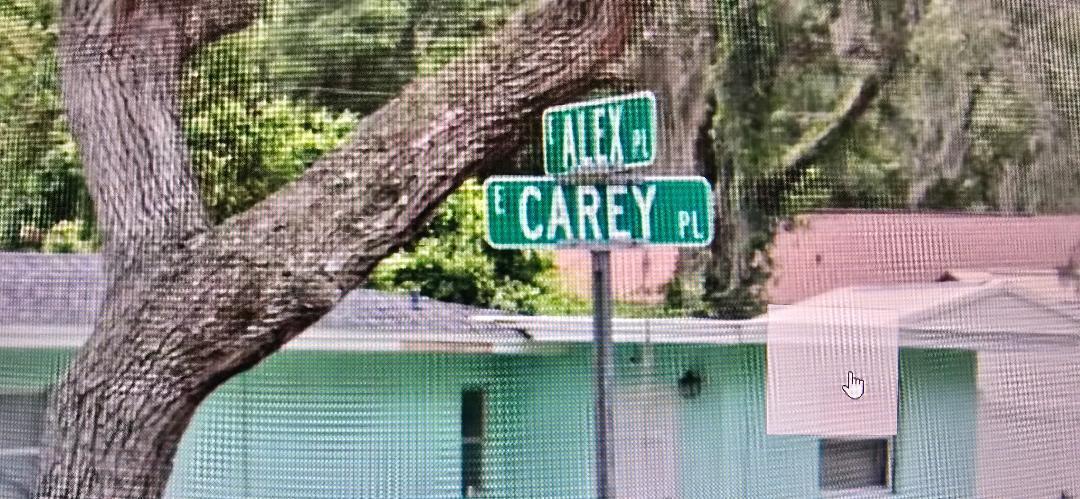 A street sign for Alex Place and East Carey Place stands in front of a house — 3397 E Alex Place, Inverness FL 34453, INVERNESS, FL