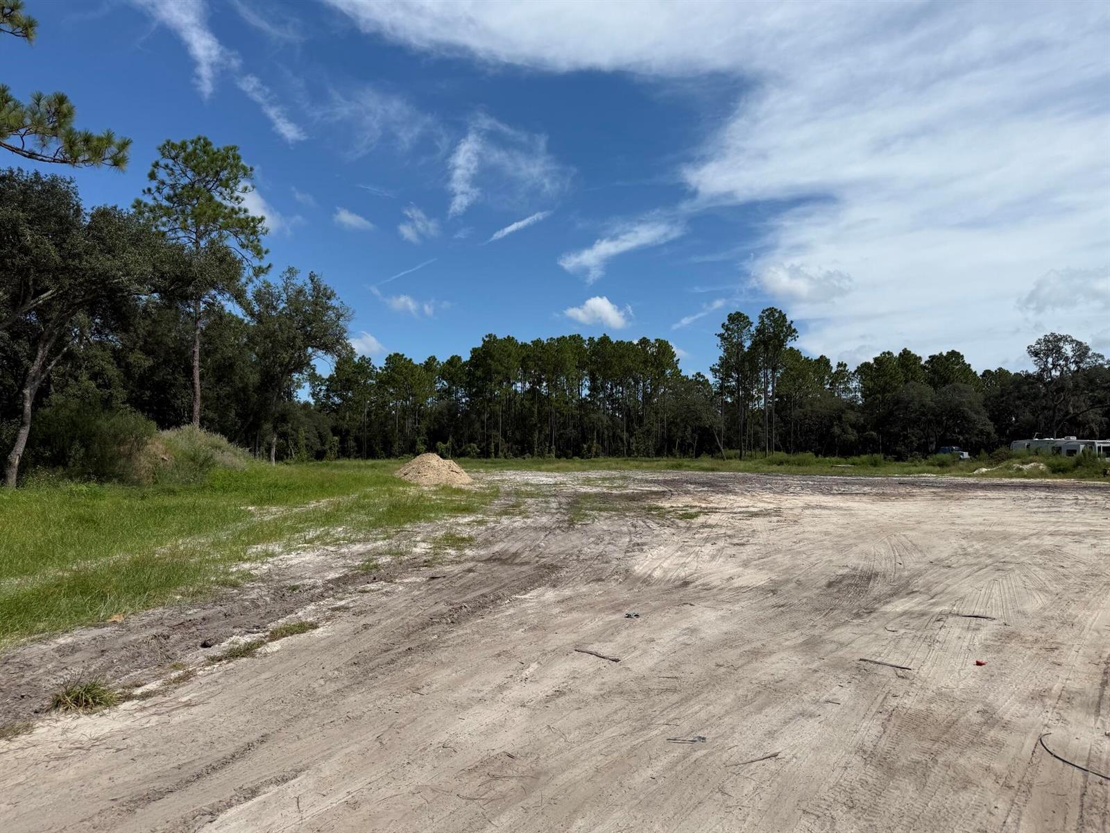 A large, cleared dirt lot features a small pile of sand and surrounding pine trees — Tbd SW 146th Lane Road, FL 34432, FL
