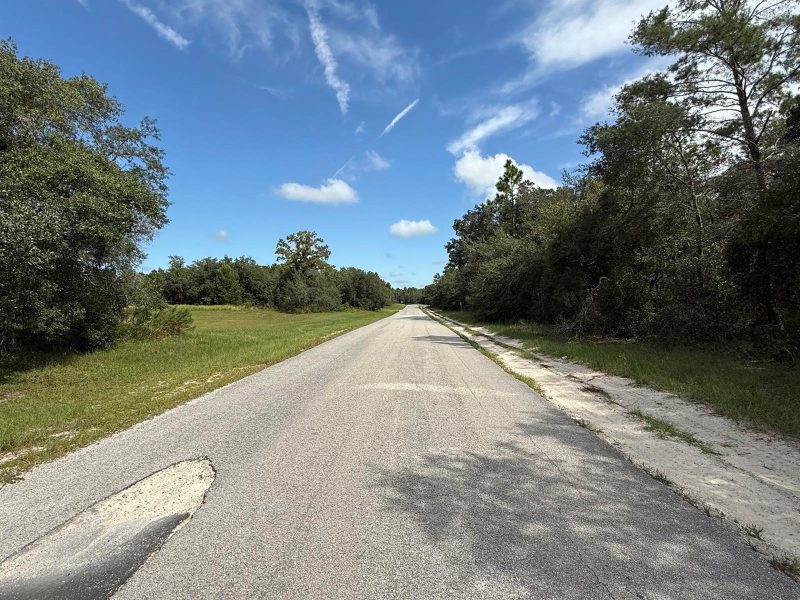 A paved road stretches into the distance, flanked by grassy fields and dense forest trees — Tbd SW 146th Lane Road, FL 34432, FL