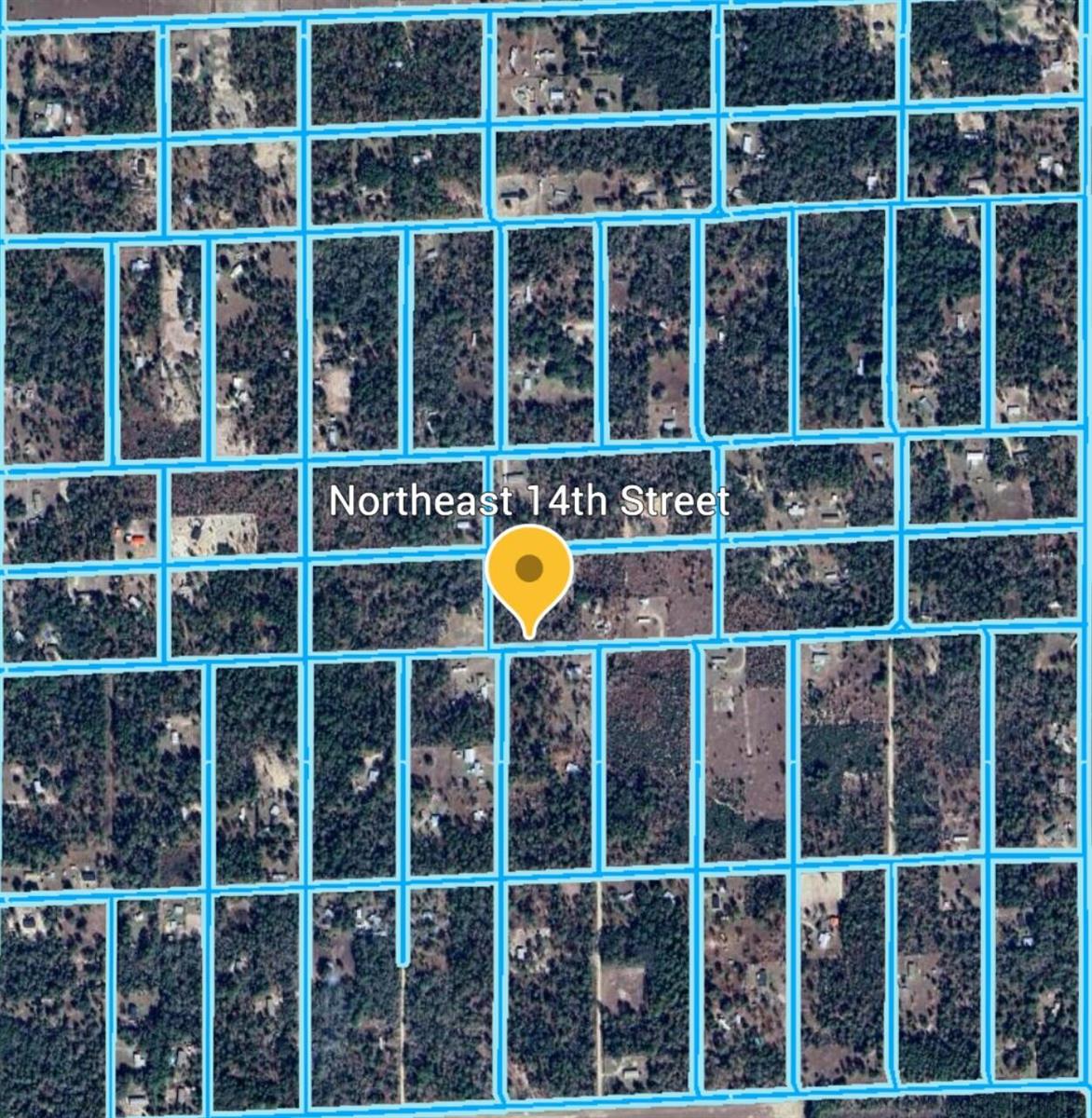This is a satellite map view showing a grid of residential land parcels and streets — 14 NE 0 Street, Williston FL 32696, WILLISTON, FL