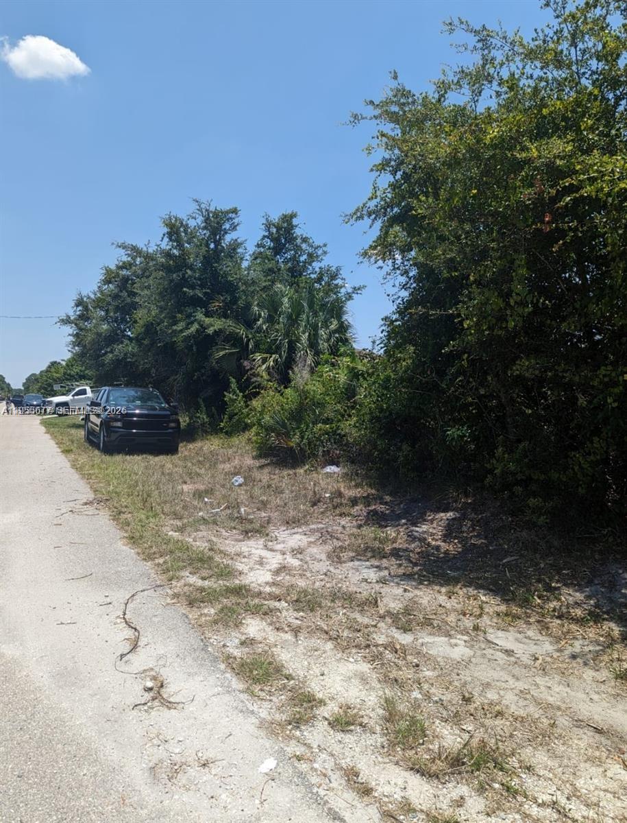 A black SUV is parked on the shoulder of a road next to overgrown vegetation — 3215 52nd St W, Lehigh Acres FL 33971, LEHIGH ACRES, FL