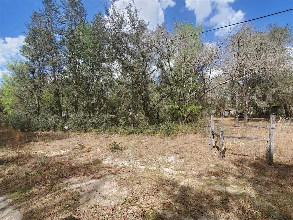 A vacant, grassy lot features a wooden fence post and dense trees in the background — NE 172ND PL LOT 11, FORT MC COY, FL