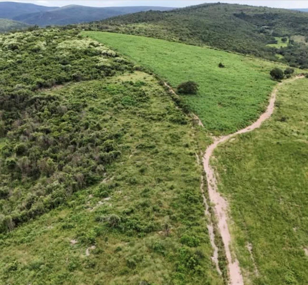 An aerial view shows a dirt path winding through a grassy field beside dense vegetation — 01 Estrada Itinga, FL