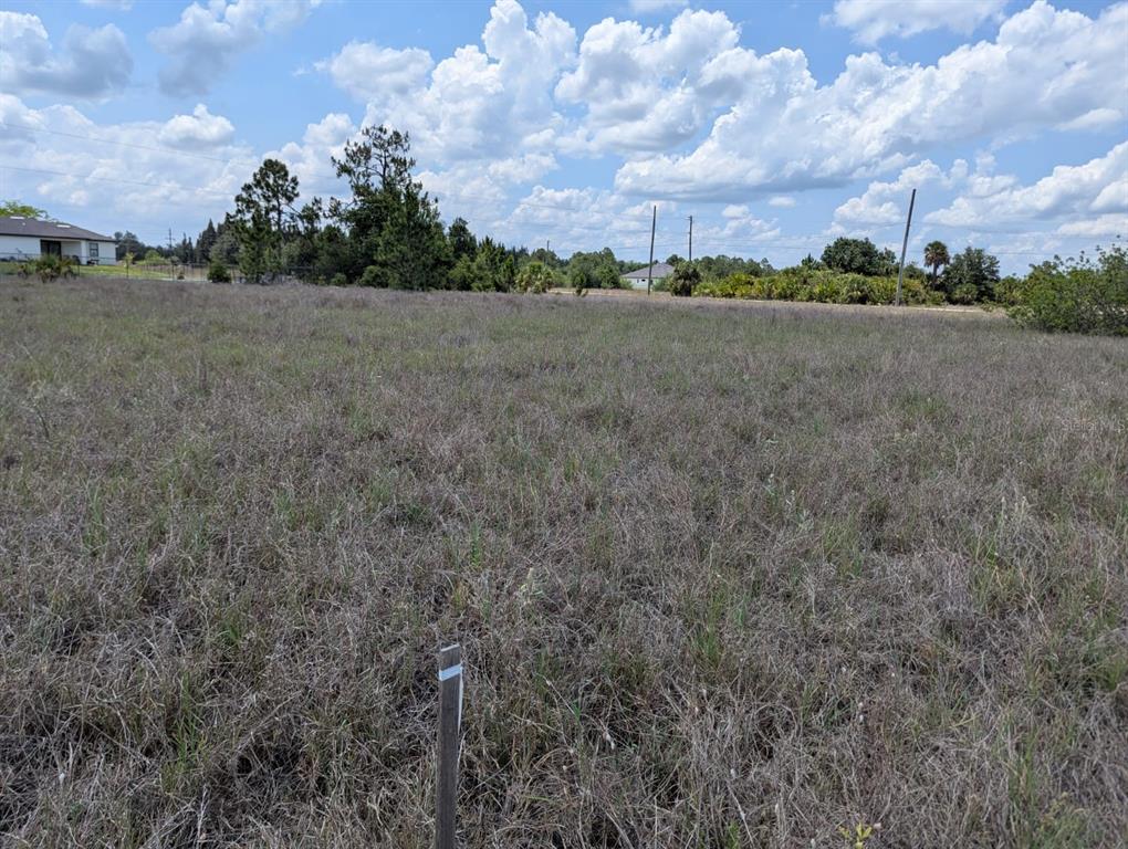 A large, grassy, undeveloped plot of land under a bright, cloudy sky — 1721 WELLS AVENUE, LEHIGH ACRES, FL