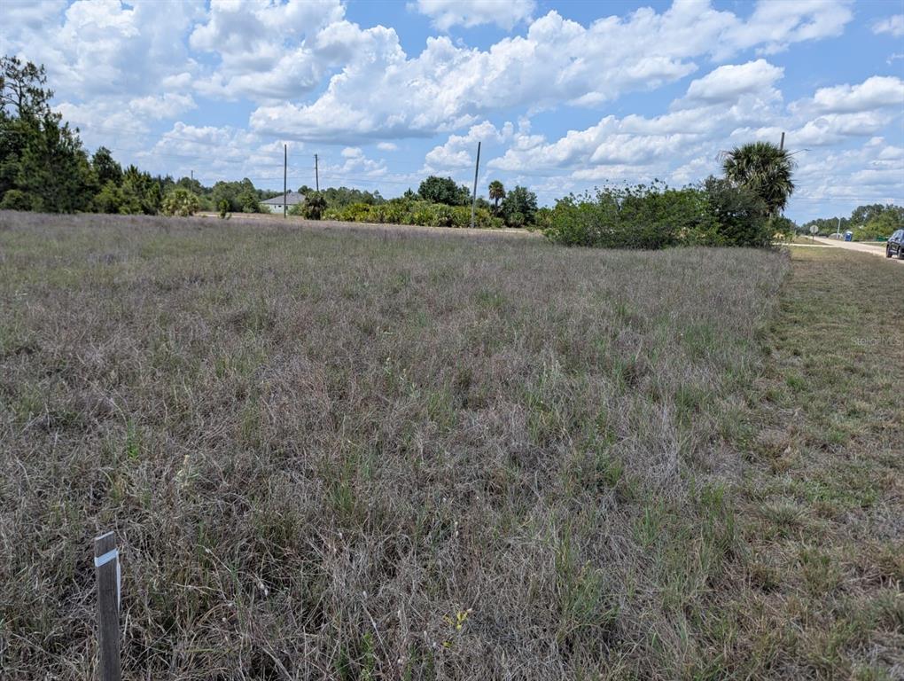 A vacant, grassy lot under a cloudy sky with a road visible on the right — 1721 WELLS AVENUE, LEHIGH ACRES, FL