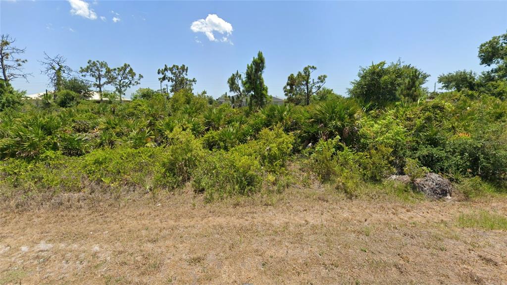 A vacant, overgrown lot with dense vegetation and scattered trees under a clear blue sky — 13465 BOATBILL LANE, PORT CHARLOTTE, FL