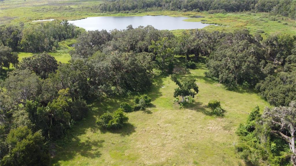 CR 772C, WEBSTER, FL — photo 4 of 19