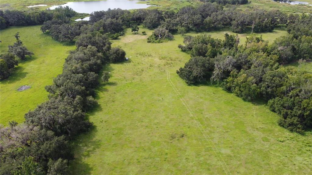 CR 772C, WEBSTER, FL — photo 5 of 19