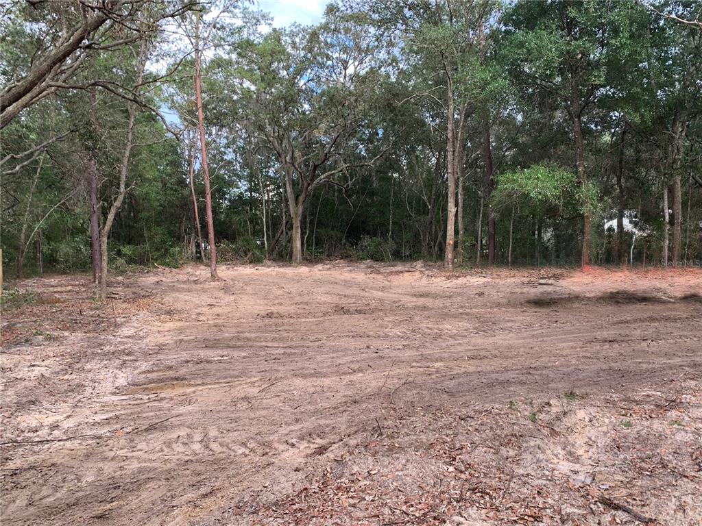 A cleared, sandy residential lot is surrounded by a dense forest of mature trees — 132 SW 52ND AVENUE, INTERLACHEN, FL