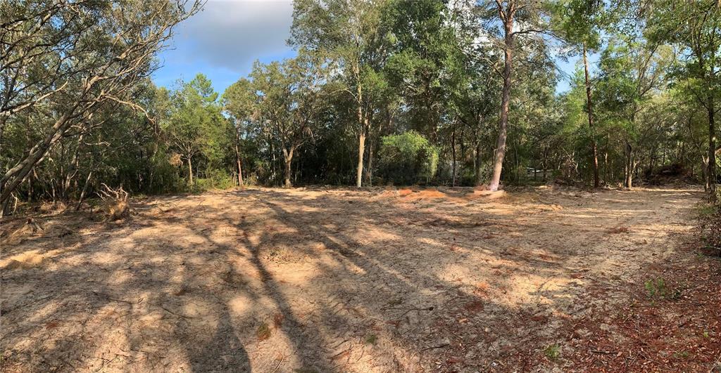 A cleared, sandy lot is surrounded by mature trees in a wooded area — 132 SW 52ND AVENUE, INTERLACHEN, FL