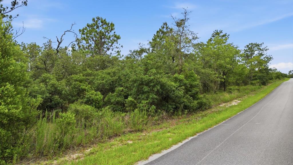A paved road runs alongside a vacant, wooded lot with dense green vegetation and trees — 0000 SW PLAZA COURT COURT, DUNNELLON, FL