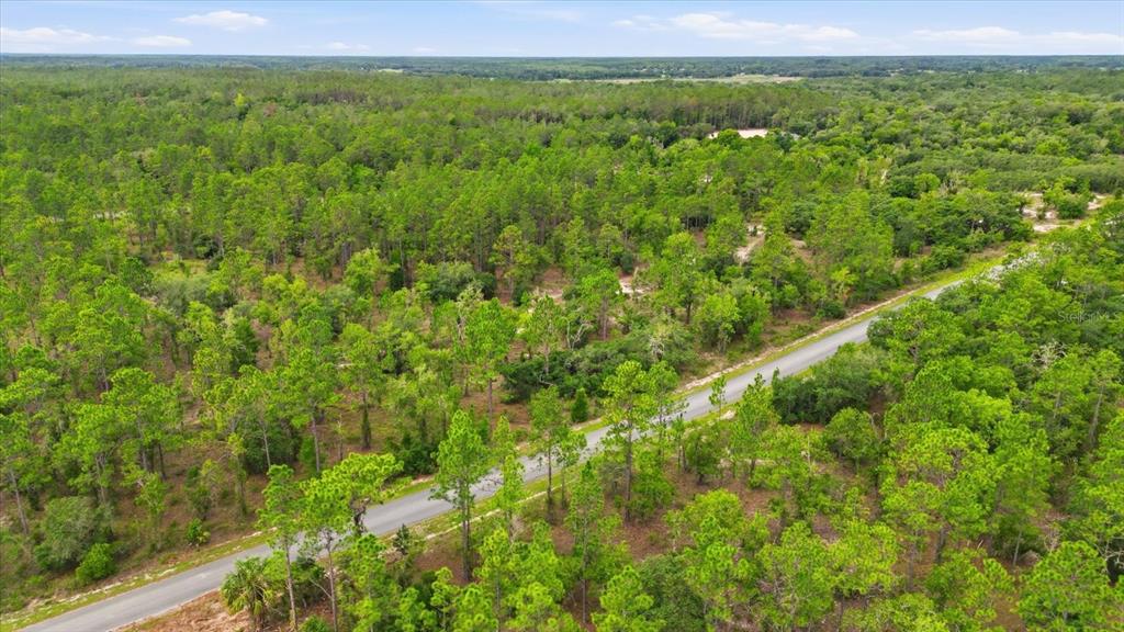 An aerial view shows a paved road winding through a dense, wooded forest — 0000 SW PLAZA COURT COURT, DUNNELLON, FL