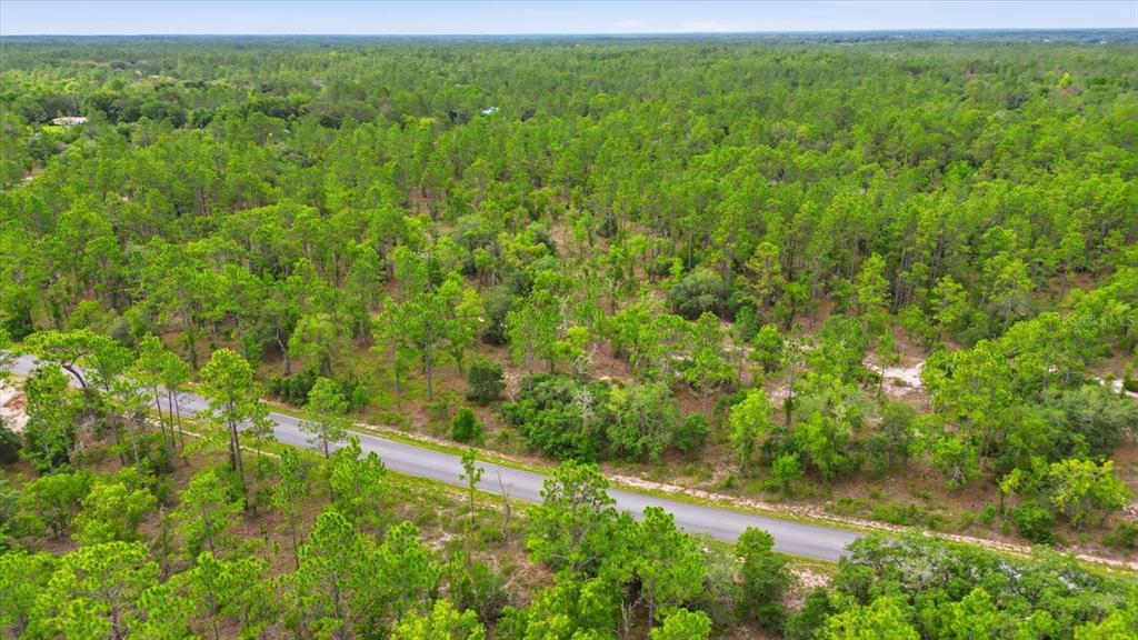 An aerial view shows a paved road running through a dense, wooded forest area — 0000 SW PLAZA COURT COURT, DUNNELLON, FL