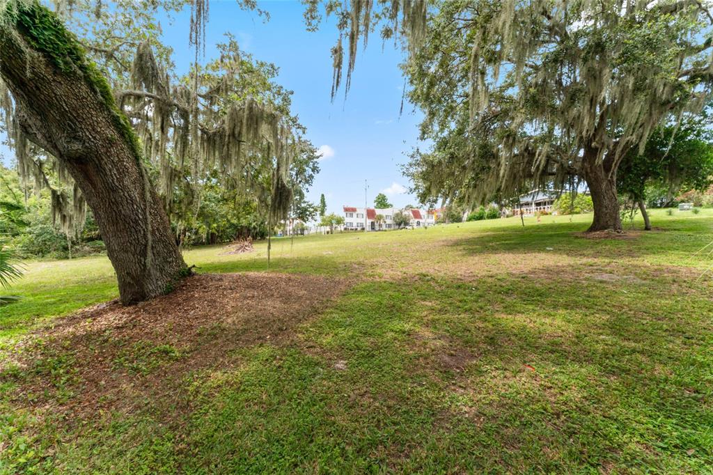 0 RIVERHILLS DRIVE, TEMPLE TERRACE, FL — photo 3 of 23