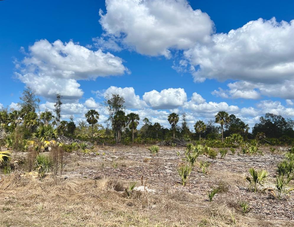 SHILOH ROAD, CEDAR KEY, FL — photo 2 of 26