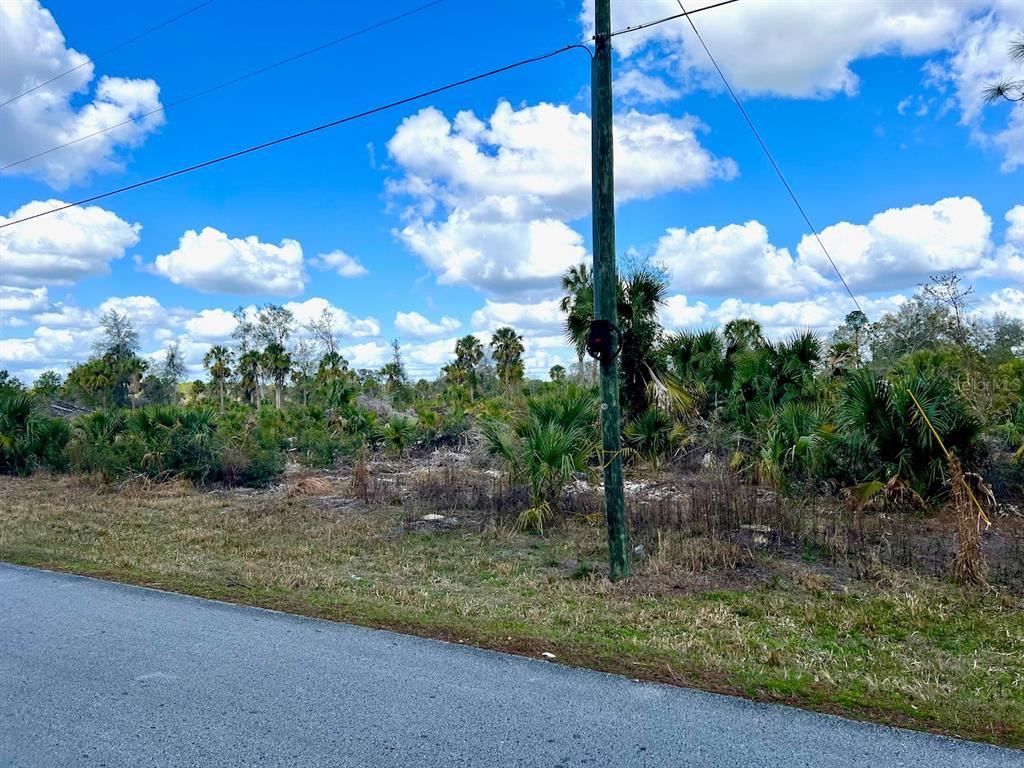 SHILOH ROAD, CEDAR KEY, FL — photo 3 of 26