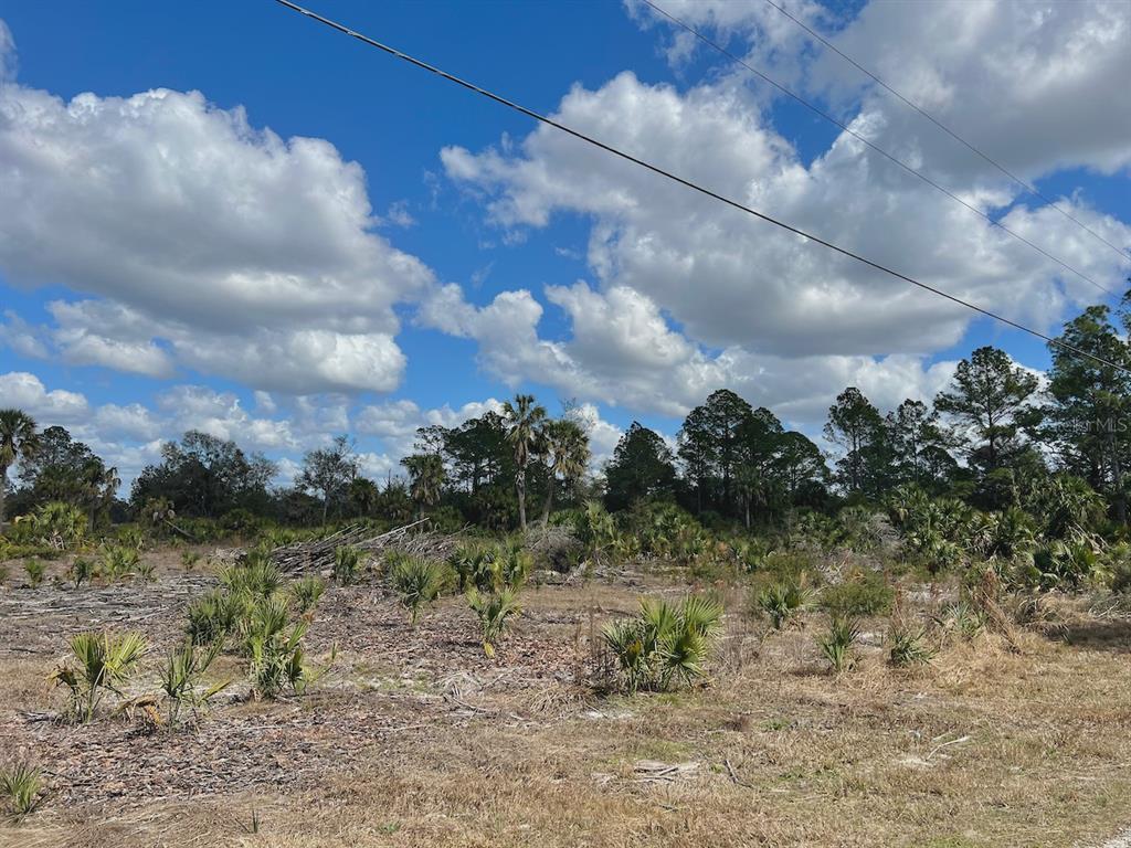 SHILOH ROAD, CEDAR KEY, FL — photo 4 of 26
