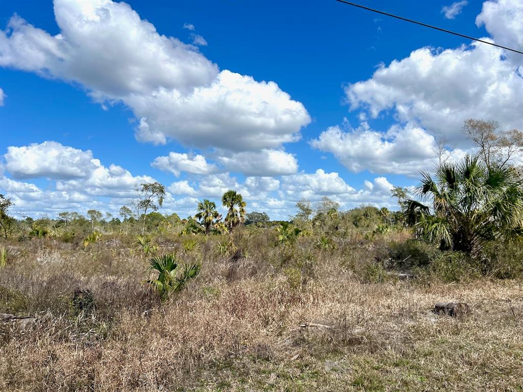 SHILOH ROAD, CEDAR KEY, FL — photo 5 of 26