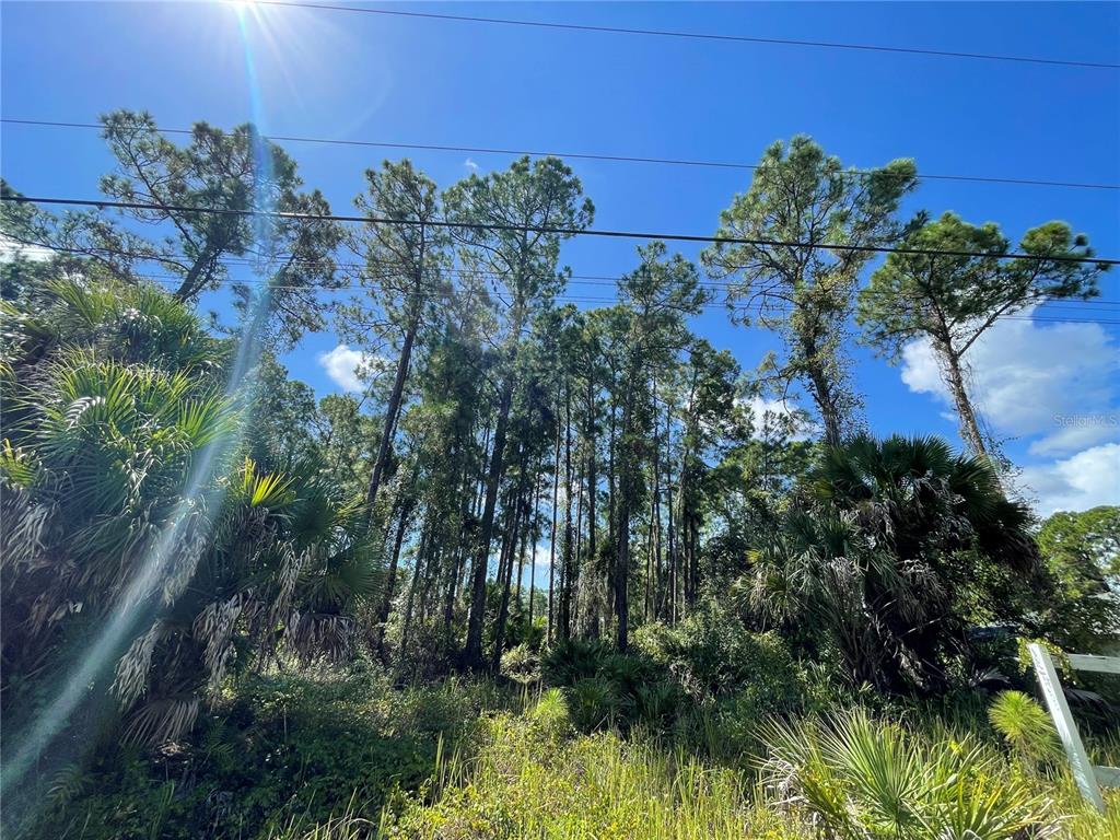 NOPPENBERG AVENUE LOT 30