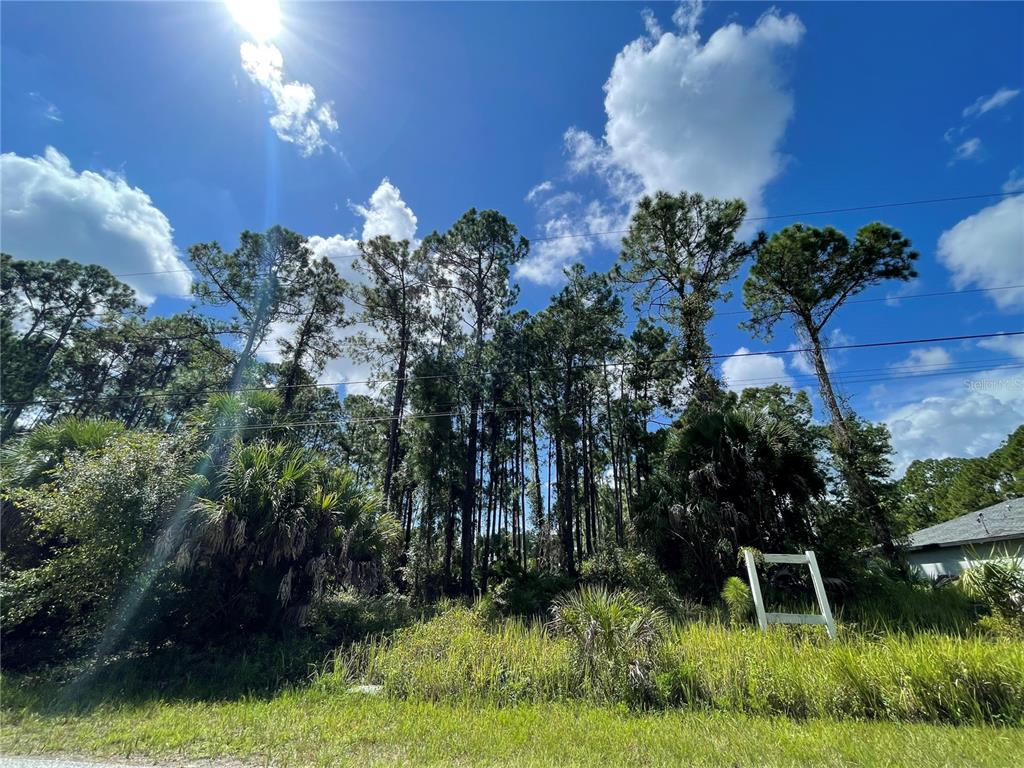 A grassy lot with dense trees and a white wooden post under a blue sky — NOPPENBERG AVENUE LOT 30, NORTH PORT, FL