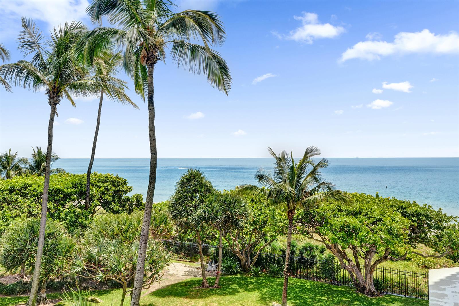 A view of a grassy yard with palm trees and lush greenery overlooking the ocean — 1340 S Ocean Boulevard # 303, Pompano Beach FL 33062, POMPANO BEACH, FL