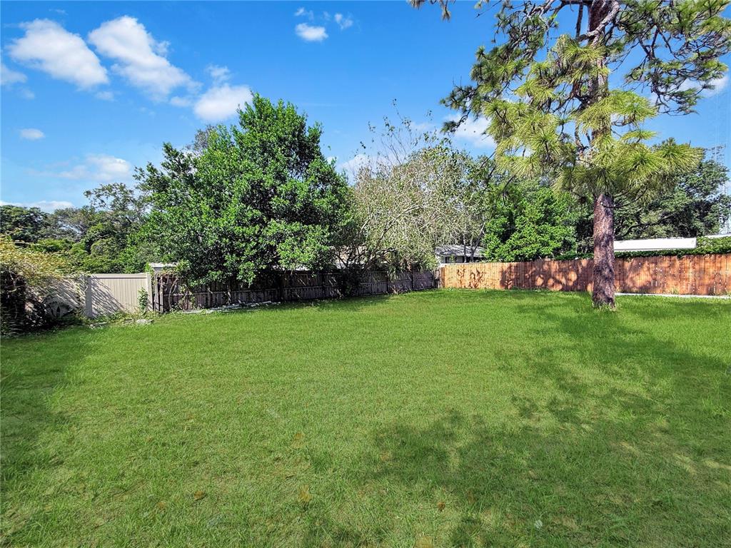 A grassy backyard features a large pine tree and a wooden fence under a blue sky — 1130 N RONALD REAGAN BOULEVARD, LONGWOOD, FL