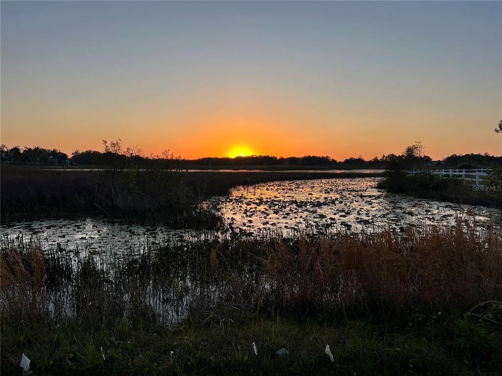 A sunset glows over a marshy pond filled with lily pads and tall grasses — 10925 ARROWTREE BOULEVARD, CLERMONT, FL