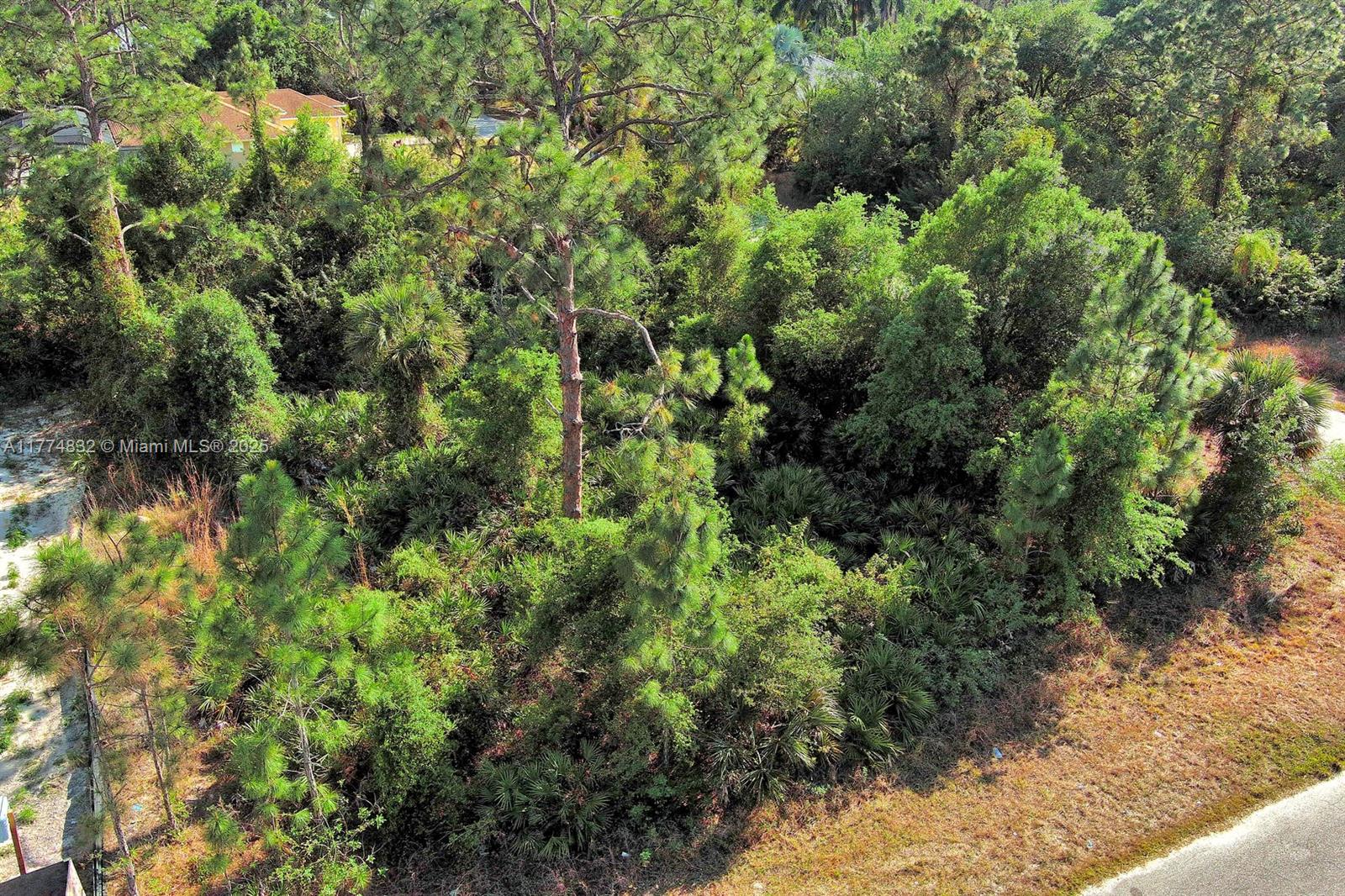 An aerial view shows a densely wooded, undeveloped lot with pine trees and thick vegetation — 2500 E 9th St, Lehigh Acres FL 33936, LEHIGH ACRES, FL